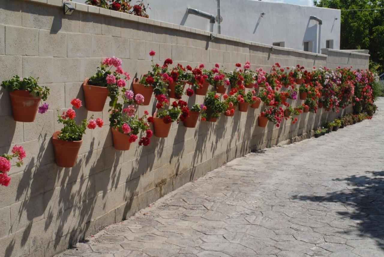 Pueblos Blancos Vejer de la Frontera Exteriér fotografie